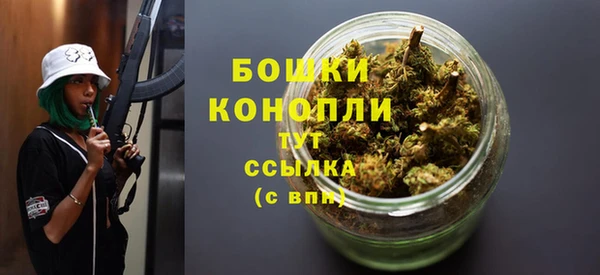 сатива Касимов