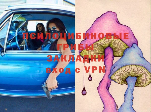 СК Карпинск