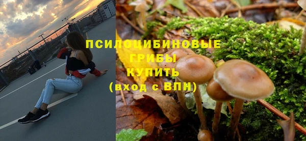 СК Карпинск