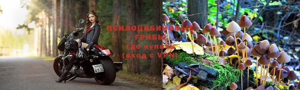 прущий лед Каменногорск