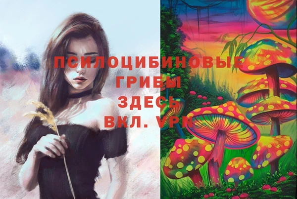 прущий лед Каменногорск