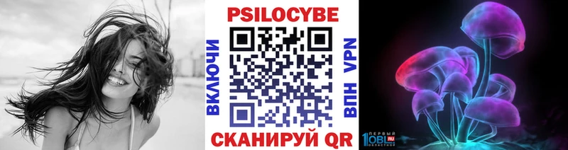Купить где  Елабуга  Галлюциногенные грибы MAGIC MUSHROOMS 